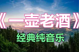 《一壶老酒》感人肺腑的纯音乐，旋律醉人，太好听了。视频封面