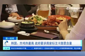 炸鸡热量过高 韩政府要求商家标注卡路里含量视频封面