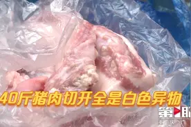 40斤猪肉切开全是白色异物视频封面