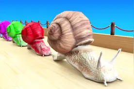 蜗牛依次进入喷泉后变成了其它动物，认识动物视频封面