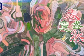 大自然的调色板！原来春耕时的农田这么美视频封面