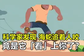 海蛇究竟有多危险？科学家称，有一种情况下海蛇会追着你咬