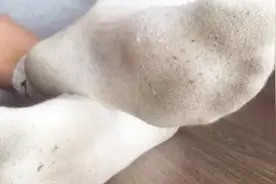 不管多脏多黄的袜子，学会洗衣店这个洗白诀窍，像新买的一样白！