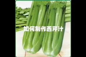 记录喝西芹汁第68天，如何制作西芹汁视频封面