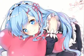 「LSP」级别老婆雷姆壁纸