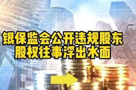 银保监会公开违规股东，股权往事浮出水面视频封面