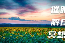 偷偷努力感觉真好 不声张不埋怨 自己一点点去改变视频封面