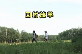 27岁女孩回村放羊，总被介绍对象后说出择偶标准：能8分钟噶1只羊视频封面