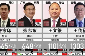 深圳富豪前20名！出炉了！谁是深圳市首富？许家印 王传福 马化腾视频封面