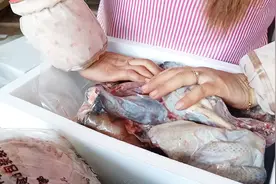 农村土鸡如何快递？抽真空、泡沫箱、放冰袋，就是快递费有点贵！视频封面