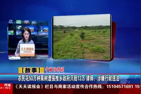 农民花50万种果树遭强推乡政府只赔13万 律师：涉嫌行政违法视频封面