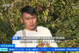 供求失衡！全国99.8%的咖啡产自云南 咖啡价格升至近10年新高视频封面