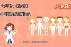 七年级《生物》：神经系统的组成。小初全动画课，让学习轻松有趣