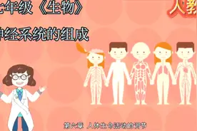 七年级《生物》：神经系统的组成。小初全动画课，让学习轻松有趣视频封面