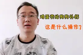 狗狗有点缺钙，主人问能不能用鸡蛋壳给它补钙，宠物医生有点懵