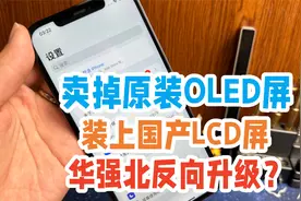 把iPhone原装OLED屏卖掉换成国产LCD屏，到底是大聪明还是没办法视频封面