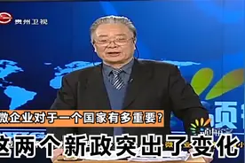 小微企业对于一个国家有多重要？这两个新政突出了变化丨领航客视频封面