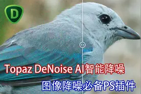 AI智能降噪多神奇？ 图片降噪插件Topaz DeNoise AI使用教程详解