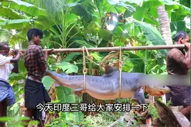 实拍印度农村富人，一顿饭就吃200斤鲨鱼，生活水平比中国还好？视频封面
