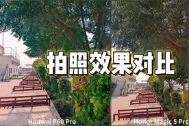 华为P60 Pro 和 荣耀Magic 5 Pro 拍照效果对比视频封面