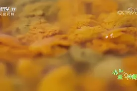 不新鲜的海胆黄会慢慢化掉，原来保鲜的秘密全靠这种神秘水视频封面