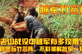 老山战役中越军有多狡猾？竟然玩竹签阵，不料被解放军一招破解视频封面