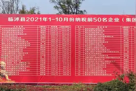 临沭县前10月份企业纳税排名，金正大第8，第一是谁？视频封面