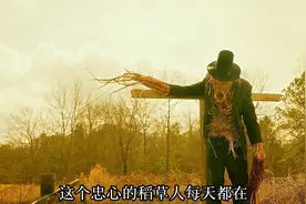 守护农场的稻草人竟意外复活了