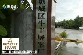 放心牛羊肉哪里来？惠城只能在这个地方屠宰视频封面