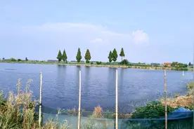 思农说虾第117期：小龙虾要养想养得好，增氧增产少不了视频封面