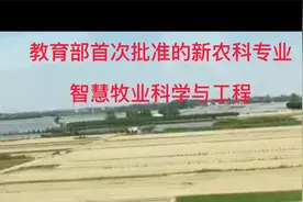 教育部首批的新农科专业：智慧牧业科学与工程