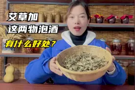 艾草加这两物泡酒有什么好处？这个土方法你们试过吗？视频封面