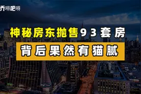 上海神秘房东抛售93套房？背后果然有猫腻视频封面