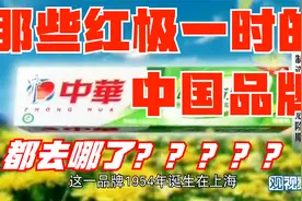 宁南山：欧美资本收购中国品牌不是为了投资，是为了毁掉你！视频封面