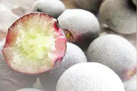 全国只有东北能种植的葡萄，能酿造“液体黄金”，入冬才能采摘视频封面