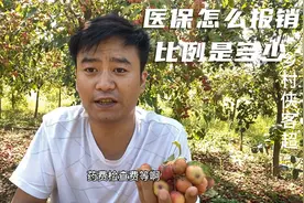 农村医保怎样报销？具体比例是多少？在当地和异地报销方便么？视频封面