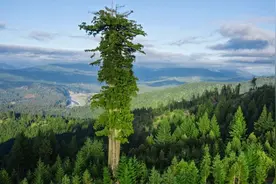 6种不可思议的自然景观