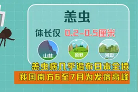恙虫病几乎遍布日本全境 我国南方6至7月为发病高峰视频封面