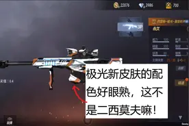 体验服极光的万化皮肤好眼熟，这不是二西莫夫的配色嘛！视频封面