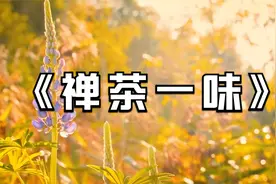 古琴禅音《禅茶一味》一杯清茗，十年尘梦。和敬清寂，烹茶煮茗。视频封面
