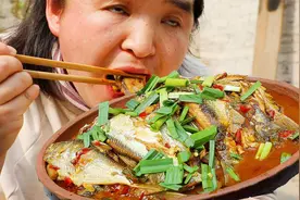 熬夜钓来野生鱼，苗大姐自制酸菜一起焖，又鲜又香拌饭吃不怕刺视频封面
