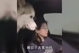 搞笑视频：女司机下车秒怂，哈哈