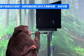 这猴子靠意念打游戏！马斯克脑机接口技术又有新突破，未来可期视频封面