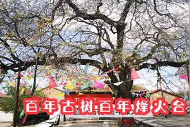 百年古树百年烽火台，古城之北东榆林村，张家口宣化周边游视频封面