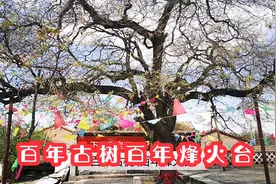 百年古树百年烽火台，古城之北东榆林村，张家口宣化周边游视频封面