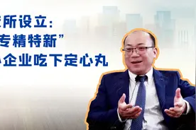 北交所设立：让“专精特新”中小企业吃下定心丸视频封面
