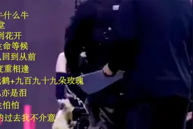 十首车载伤感DJ《你牛什么牛》《天堂》