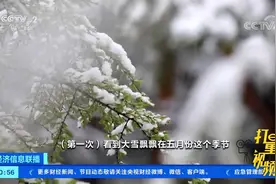 黑龙江漠河：五月飄雪，气温降至零下|经济信息联播视频封面