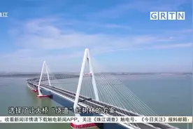 东雷高速即将通车 粤西最长跨海大桥为红树林绕道视频封面
