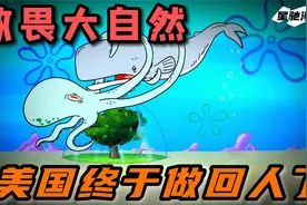 美国终于做人了，新版海绵宝宝大尺度训诫敬畏自然：爱护野生动物视频封面